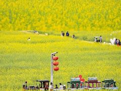 -光明小镇欢乐田园