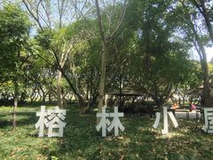 -江心屿景区