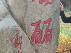 -瑞丽独树成林风景区