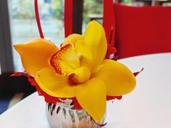 -香乐园·淮扬菜中餐厅·Shang Garden(福田香格里拉店)