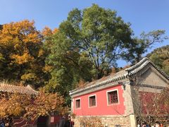 -潭柘寺景区