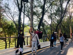 -深圳仙湖植物园-停车场
