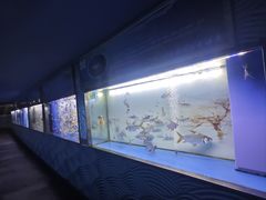 -大明湖海底世界