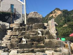 -大岭沟猕猴桃谷风景区