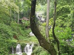 -青城山