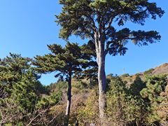 -妙峰山风景名胜区