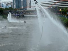 -上海海昌海洋公园