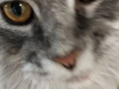 -猫和宫(六道口店)