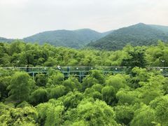 -陶祖圣境风景区