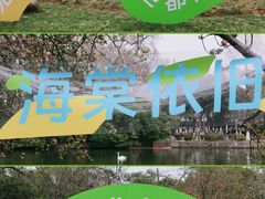 -莫愁湖公园