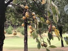 -浙江安吉JW万豪酒店·万豪中餐厅