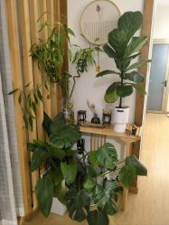 -无漾·美学科技美肤馆