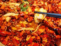 沸腾鱼-东淮西川(国金店)