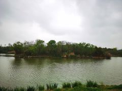 -白鹭湾湿地公园