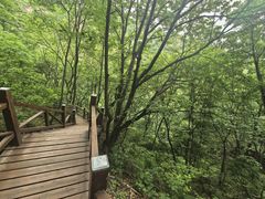 -大岭沟猕猴桃谷风景区