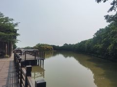 -大湾区中央湿地公园