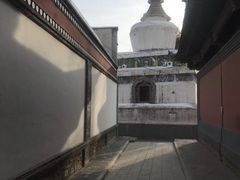 -塔尔寺游客服务中心