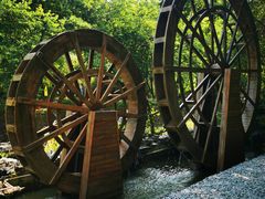 -广州白江湖森林公园