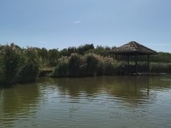-西青郊野公园