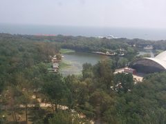 android_upload_pic-南戴河国际娱乐中心