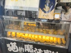 -猫的魔法密林(衣裳街店)