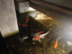 -夜宴江景餐厅