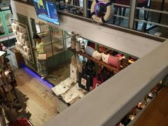 -猫咪博物馆(顶澳仔猫街店)