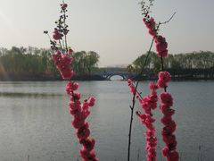 -大兴滨河森林公园