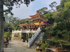 -深圳仙湖植物园