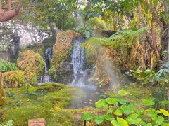 -Chom Cafe and Restaurant