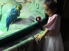 -福州罗源湾海洋世界旅游区