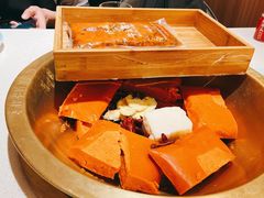 -矮冬瓜红茶火锅(天府一街店)