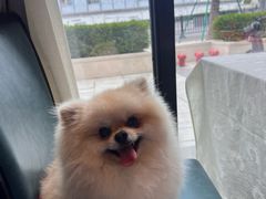 -聚鑫阁江浙菜·非遗传承技艺(青村帝华园店)