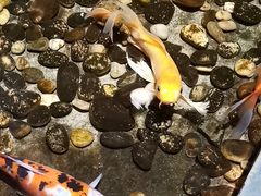 -颐和•海鲜砂锅粥•啫啫煲(奥林匹克广场店)