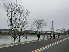 -羊山湖公园