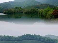 -龙坞茶村