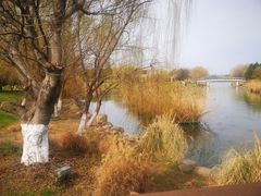 -九里河湿地公园