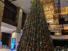 -三亚海棠湾喜来登度假酒店