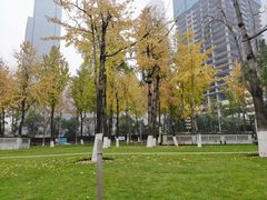 -重庆市江北嘴中央商务区中央公园