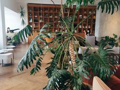 -COFFEEOLOGY咖啡学(天银店)
