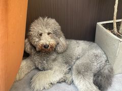 -沏点Trattoria意大利餐厅(新街口店)