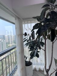 -HEYAN荷妍专业脱毛连锁机构