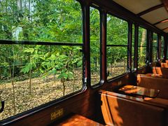 -合肥滨湖国家森林公园