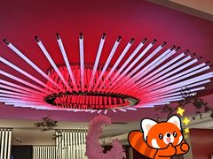 -海底捞火锅(杭州庆春路夜宵主题店)