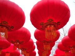 -南宫五洲植物乐园