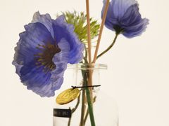 -名创优品(天河区正佳广场二店)