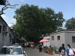 -铃木食堂(帽儿胡同店)