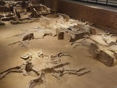 -洛阳周王城天子驾六博物馆