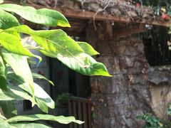 -茂德公草堂