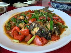 -生态苑农庄(十里画廊遇龙河店)